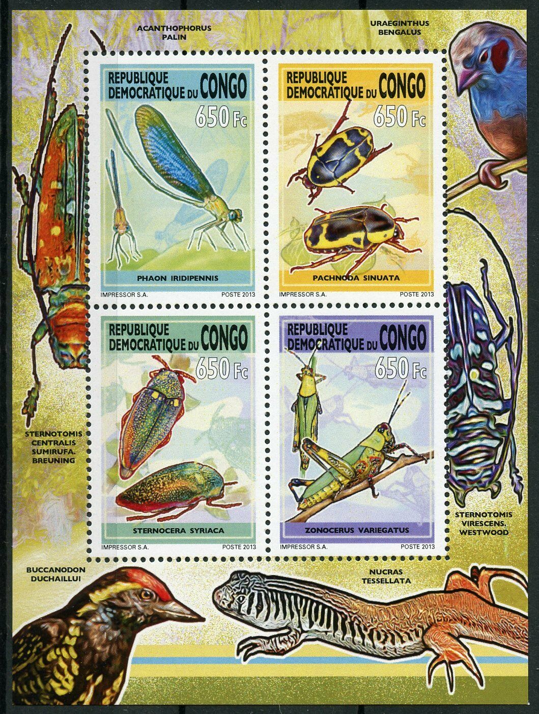 Congo 2013 MNH Insects Damselflies Beetles Grasshoppers 4v Deluxe M/S Stamps