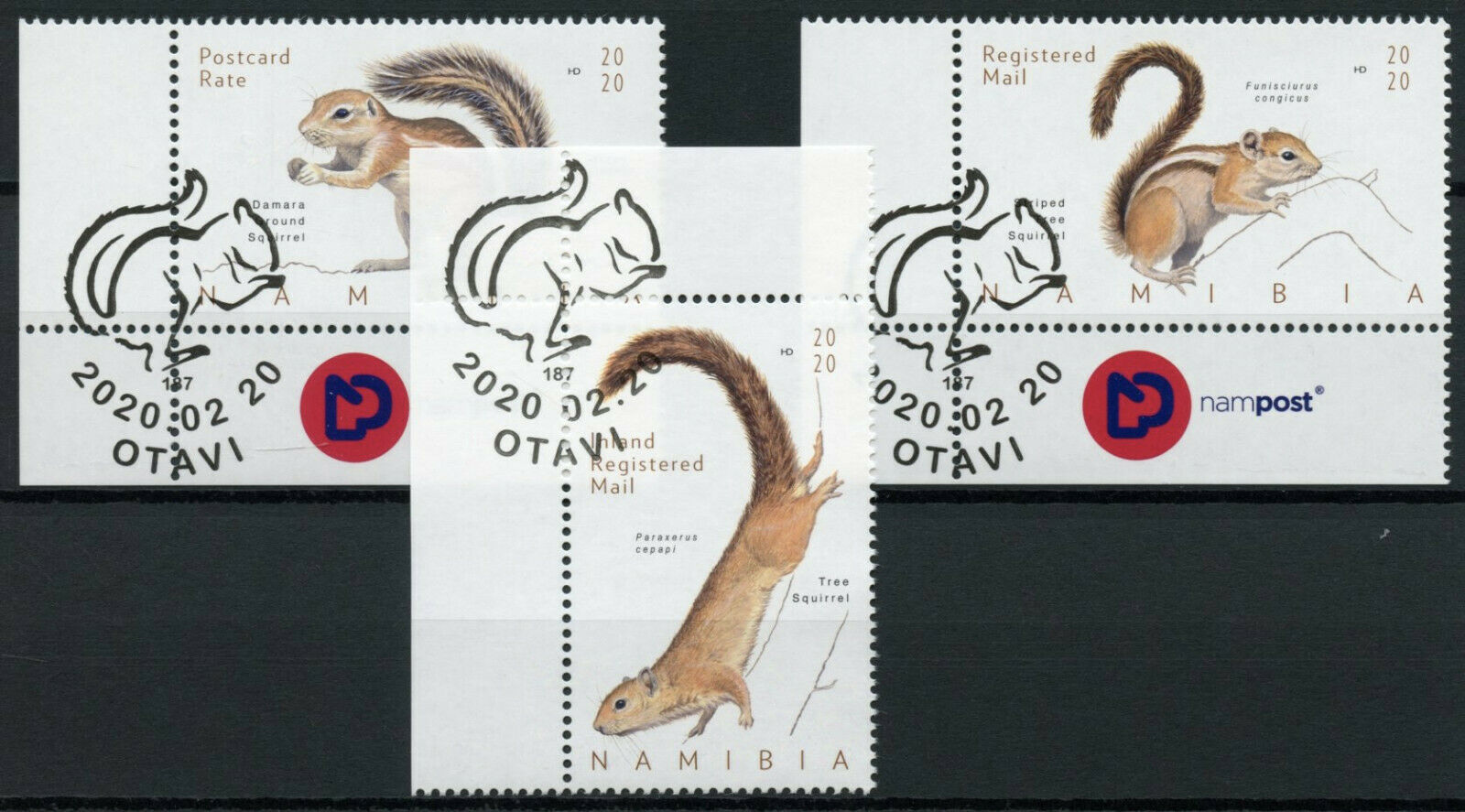 Namibia Wild Animals Stamps 2020 CTO Squirrels Tree Squirrel Fauna 3v Set