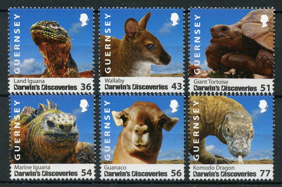 Guernsey 2009 MNH Darwin Discoveries 6v Set Lizards Reptiles Wild Animals Stamps