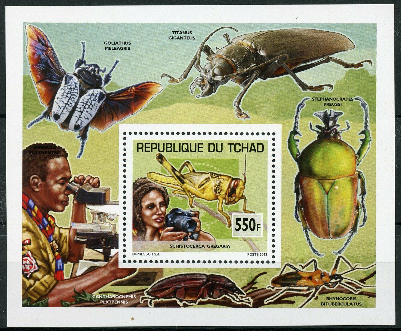 Chad 2013 MNH Scouting & Nature Grasshoppers 1v Deluxe S/S Scouts Insects Stamps