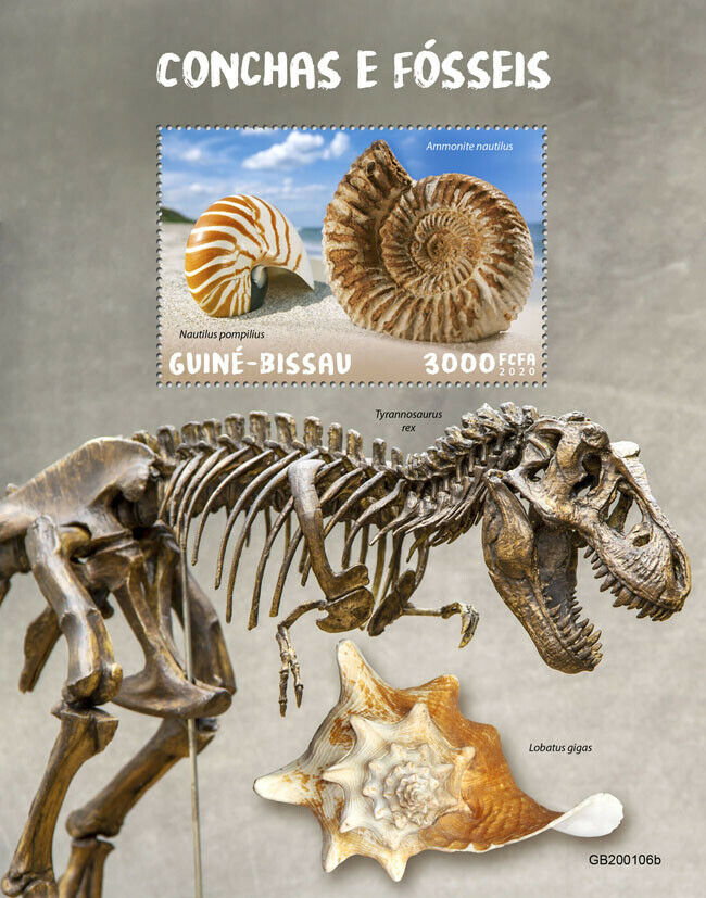 Guinea-Bissau 2020 MNH Seashells & Fossils Stamps Shells Nautilus T-Rex 1v S/S