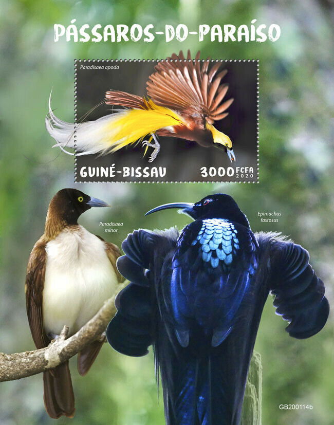 Guinea-Bissau 2020 MNH Birds on Stamps Greater Bird of Paradise 1v S/S