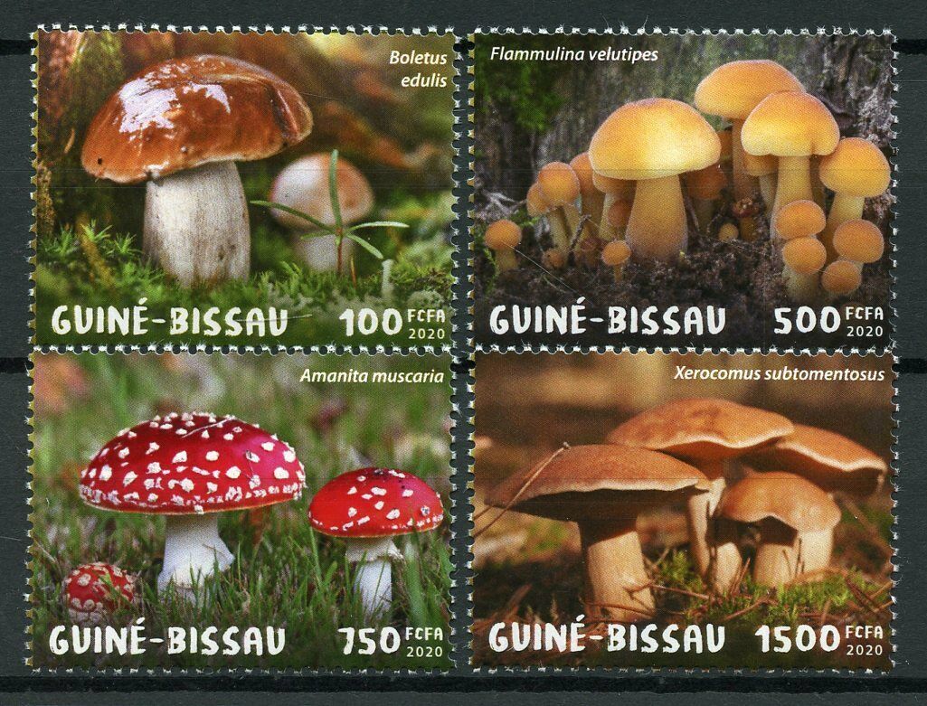 Guinea-Bissau Mushrooms Stamps 2020 MNH Fungi Fly Agaric Boletus 4v Set