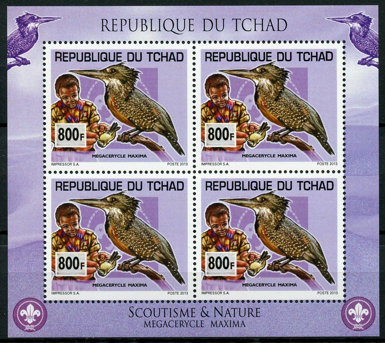 Chad 2013 MNH Scouting & Nature 4v M/S Scouts Kingfishers Birds Stamps
