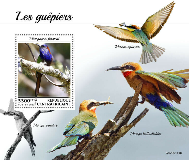 Central African Rep 2020 MNH Birds on Stamps Bee-Eaters Bee-Eater 1v S/S