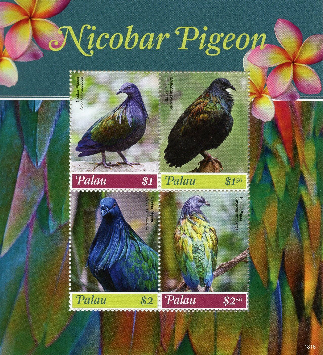 Palau 2018 MNH Nicobar Pigeon 4v M/S Pigeons Birds Stamps