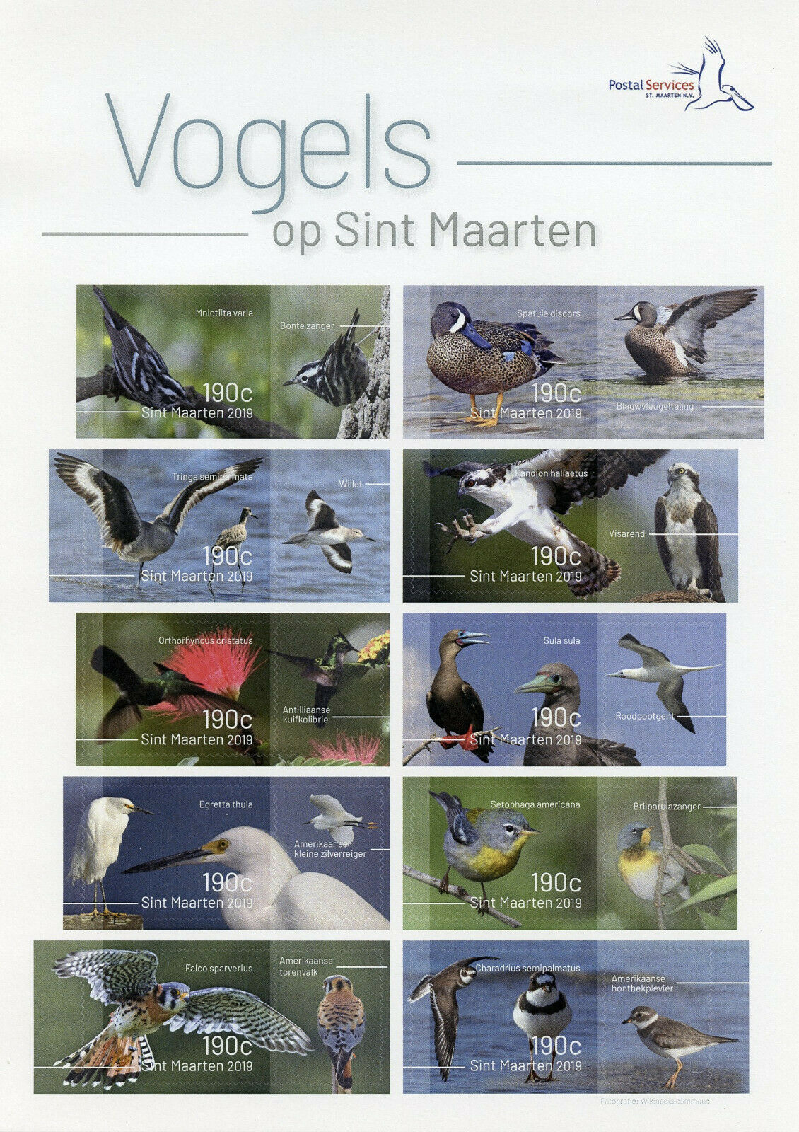 St Maarten 2019 MNH Birds 10v S/A M/S Waders Ducks Hummingbirds Stamps