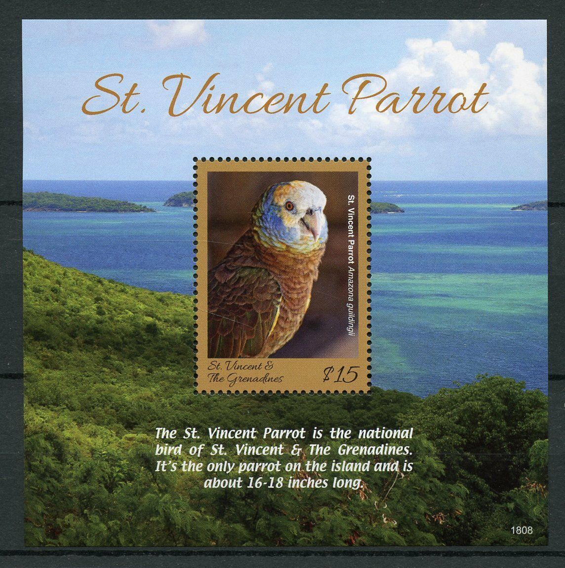 St Vincent & Grenadines 2018 MNH Birds on Stamps Caribbean Parrots Parrot 1v S/S