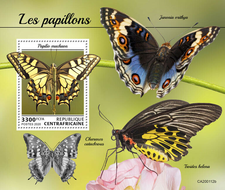 Central African Rep Butterflies Stamps 2020 MNH Swallowtail Butterfly 1v S/S