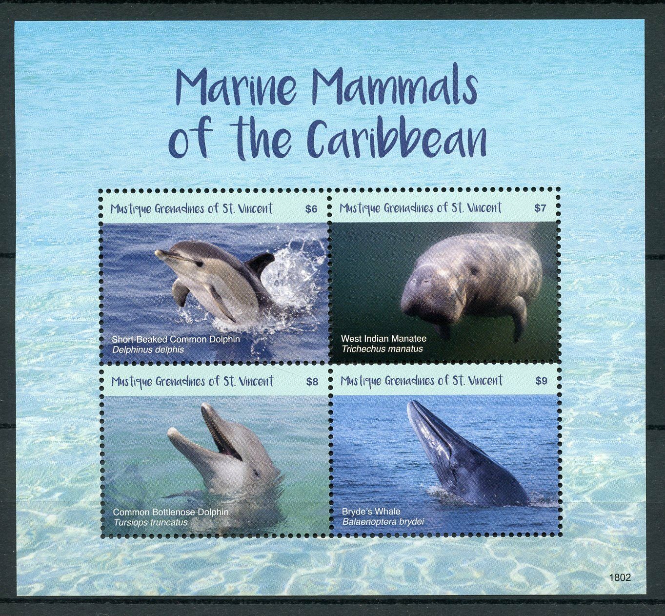 Mustique Gren St Vincent 2018 MNH Marine Mammals 4v M/S Whales Dolphins Stamps