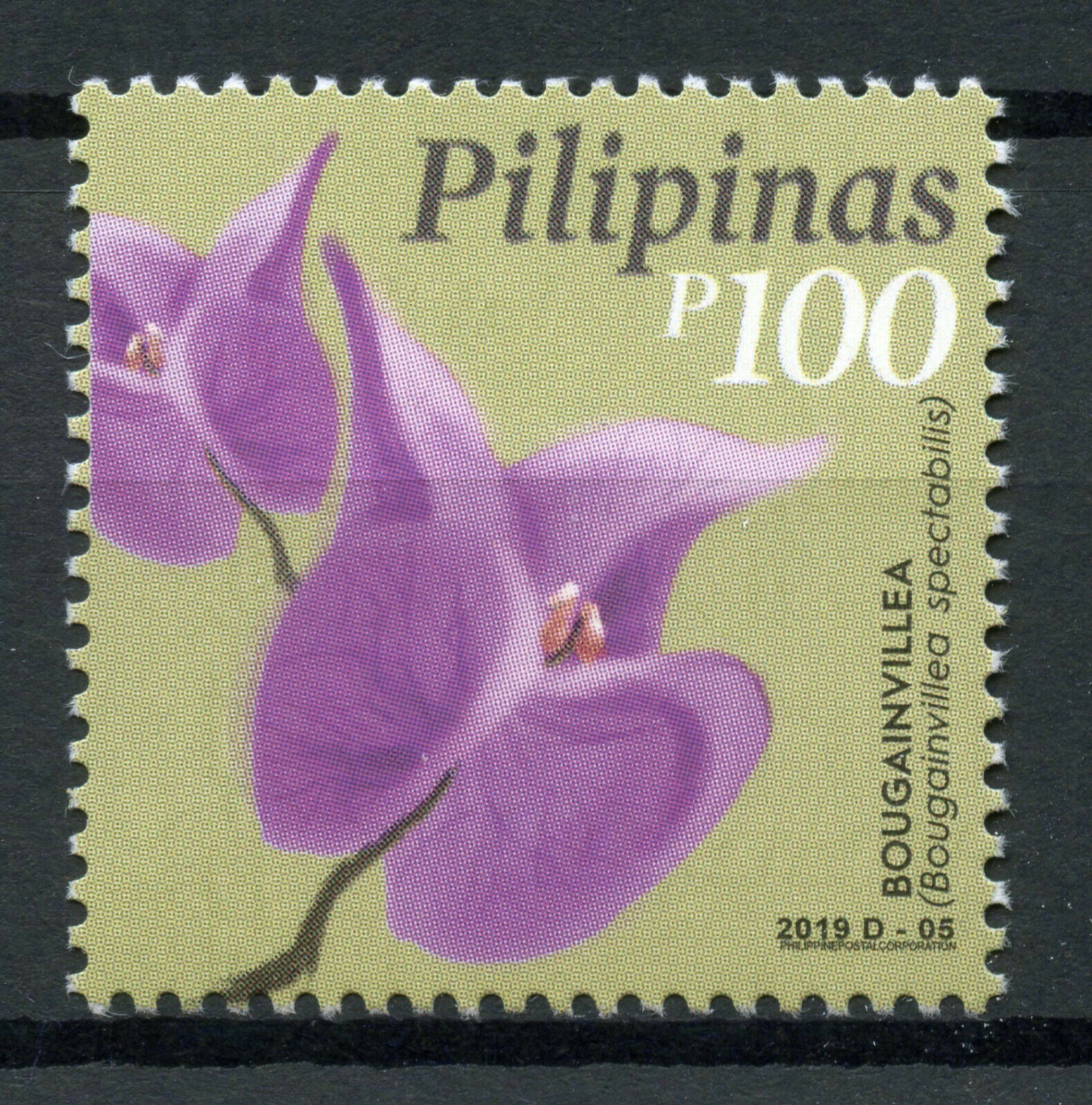 Philippines 2019 MNH Flowers Definitives Bougainvillea 1v Set Nature Stamps