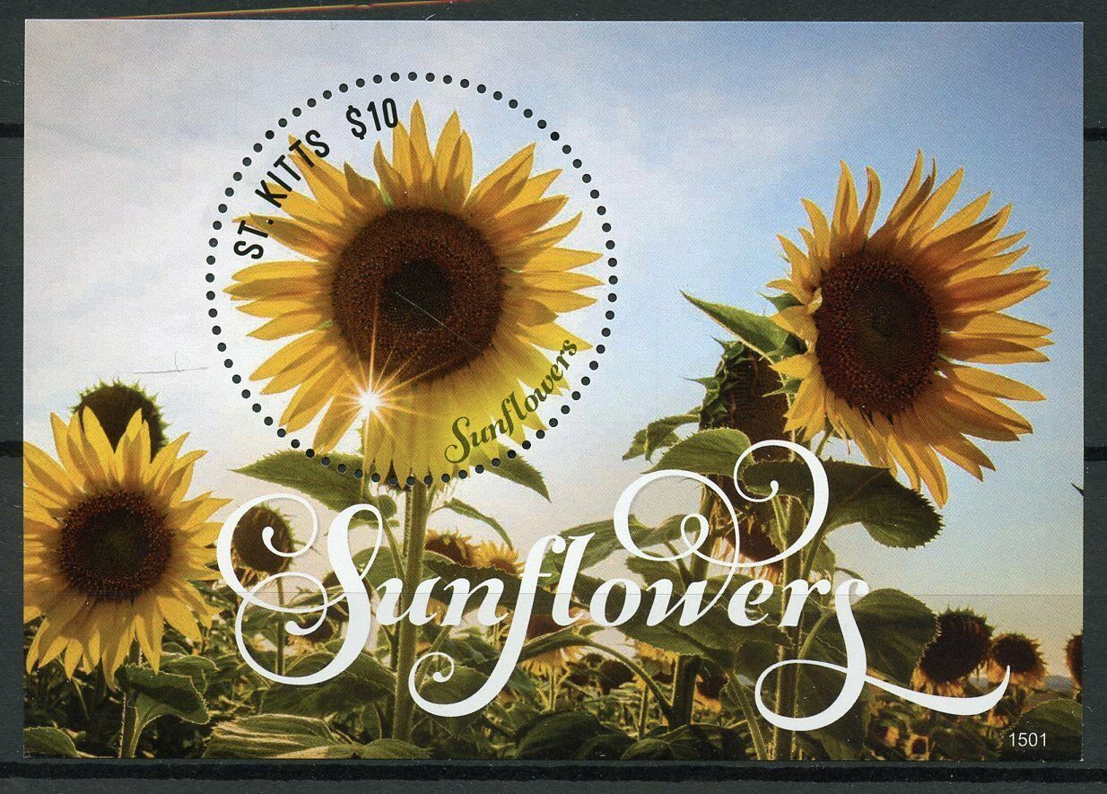 St Kitts 2015 MNH Sunflowers Sun Flowers 1v S/S Nature Flora Stamps