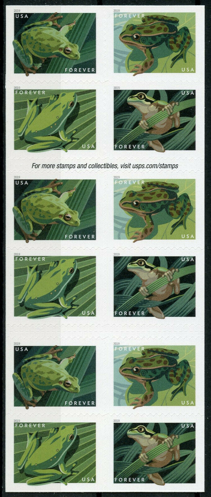 USA 2019 MNH Frogs Frog 20v S/A Booklet Reptiles & Amphibians Stamps