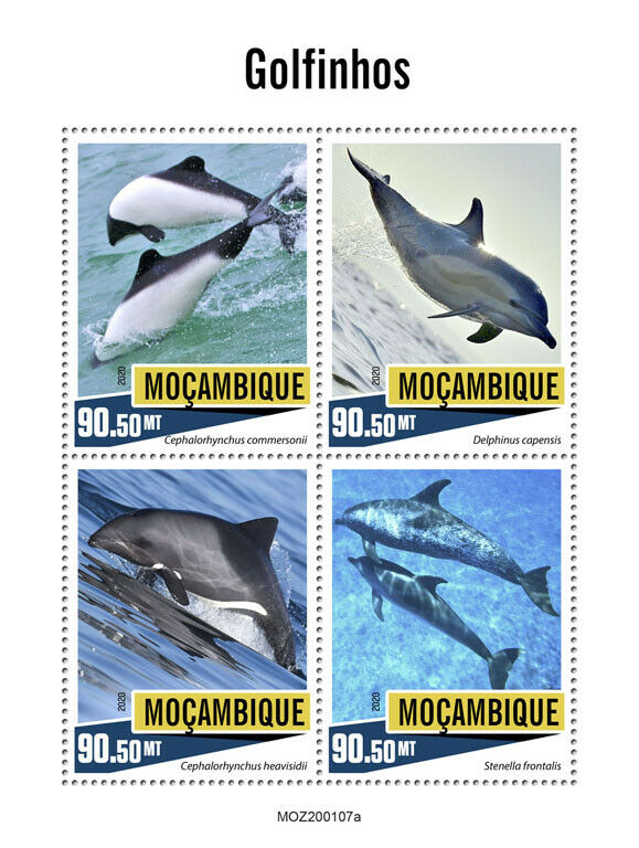 Mozambique Dolphins Stamps 2020 MNH Marine Animals Spotted Dolphin 4v M/S