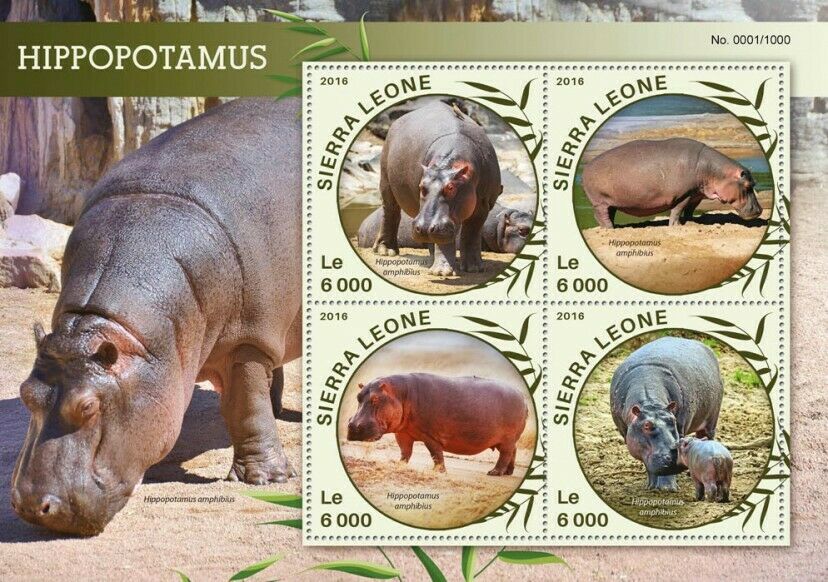 Sierra Leone Wild Animals Stamps 2016 MNH Hippopotamus Hippos Fauna 4v M/S