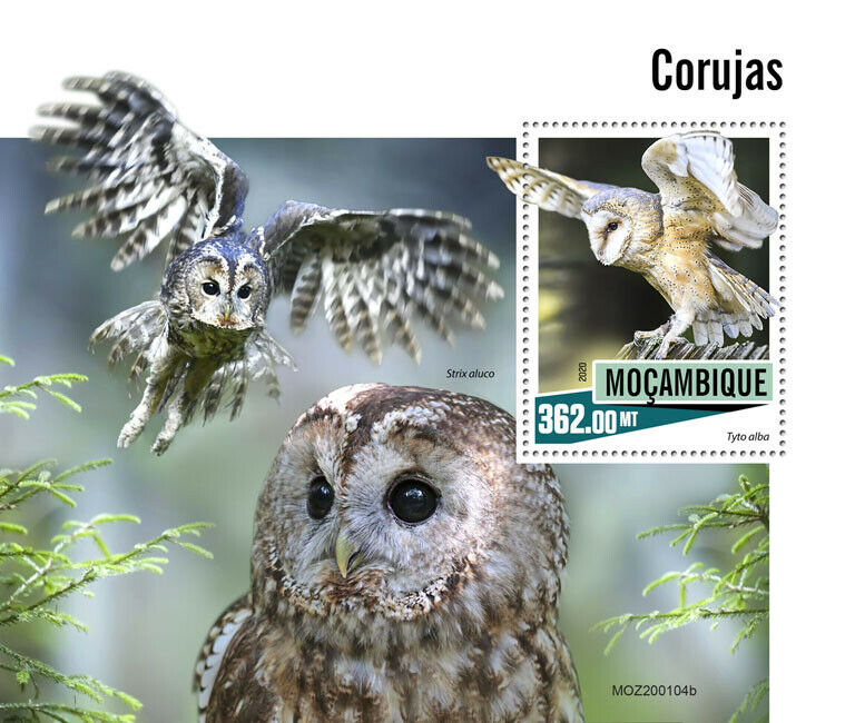 Mozambique 2020 MNH Birds on Stamps Owls Tawny Barn Owl 1v S/S