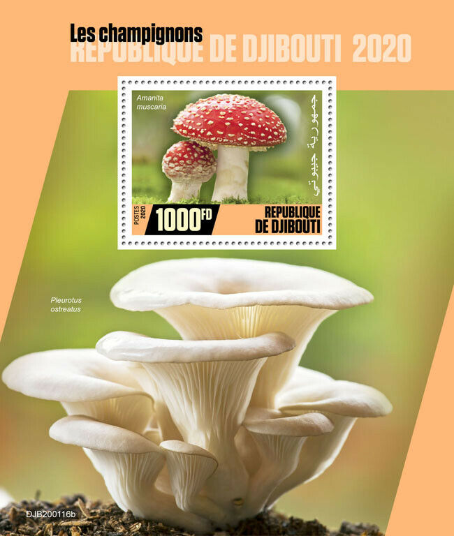 Djibouti Mushrooms Stamps 2020 MNH Fly Agaric Mushroom Fungi Nature 1v S/S