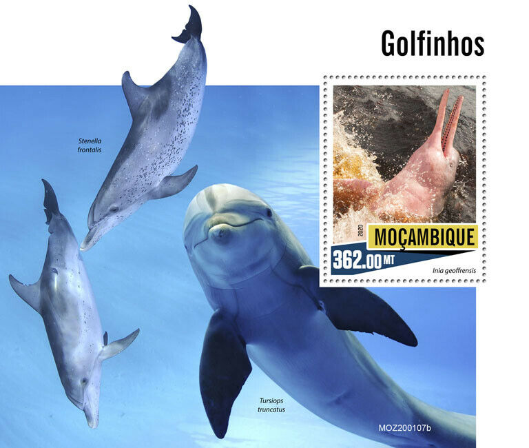 Mozambique Dolphins Stamps 2020 MNH Marine Animals Amazon River Dolphin 1v S/S