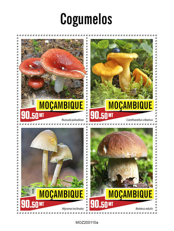 Mozambique Mushrooms Stamps 2020 MNH Boletus Chanterelle Mushroom Fungi 4v M/S
