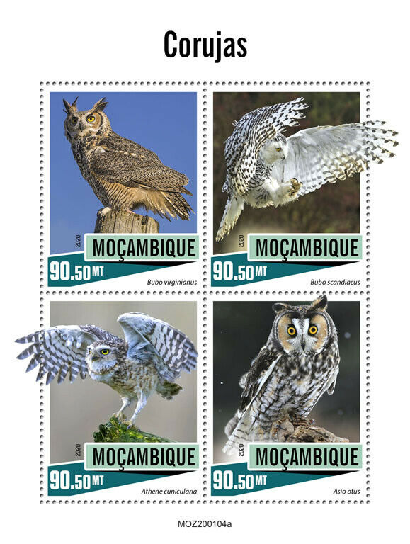 Mozambique Birds on Stamps 2020 MNH Owls Snowy Burrowing Owl 4v M/S