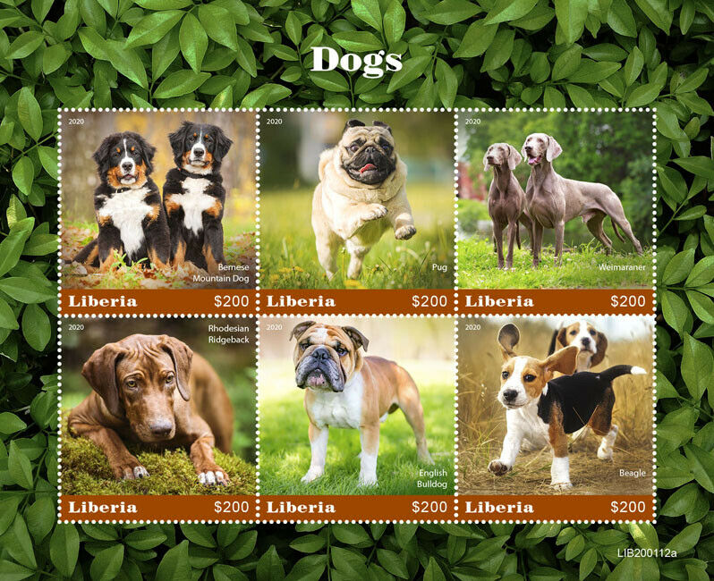 Liberia Dogs Stamps 2020 MNH Pug Rhodesian Ridgeback Beagle Bulldog 6v M/S