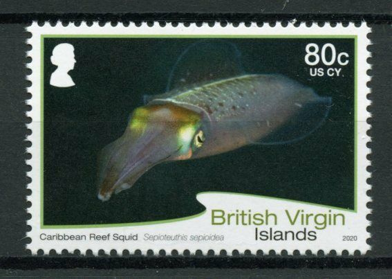 BVI 2020 MNH Marine Animals Stamps Sea Life Definitives Squid 80c R/P 1v Set