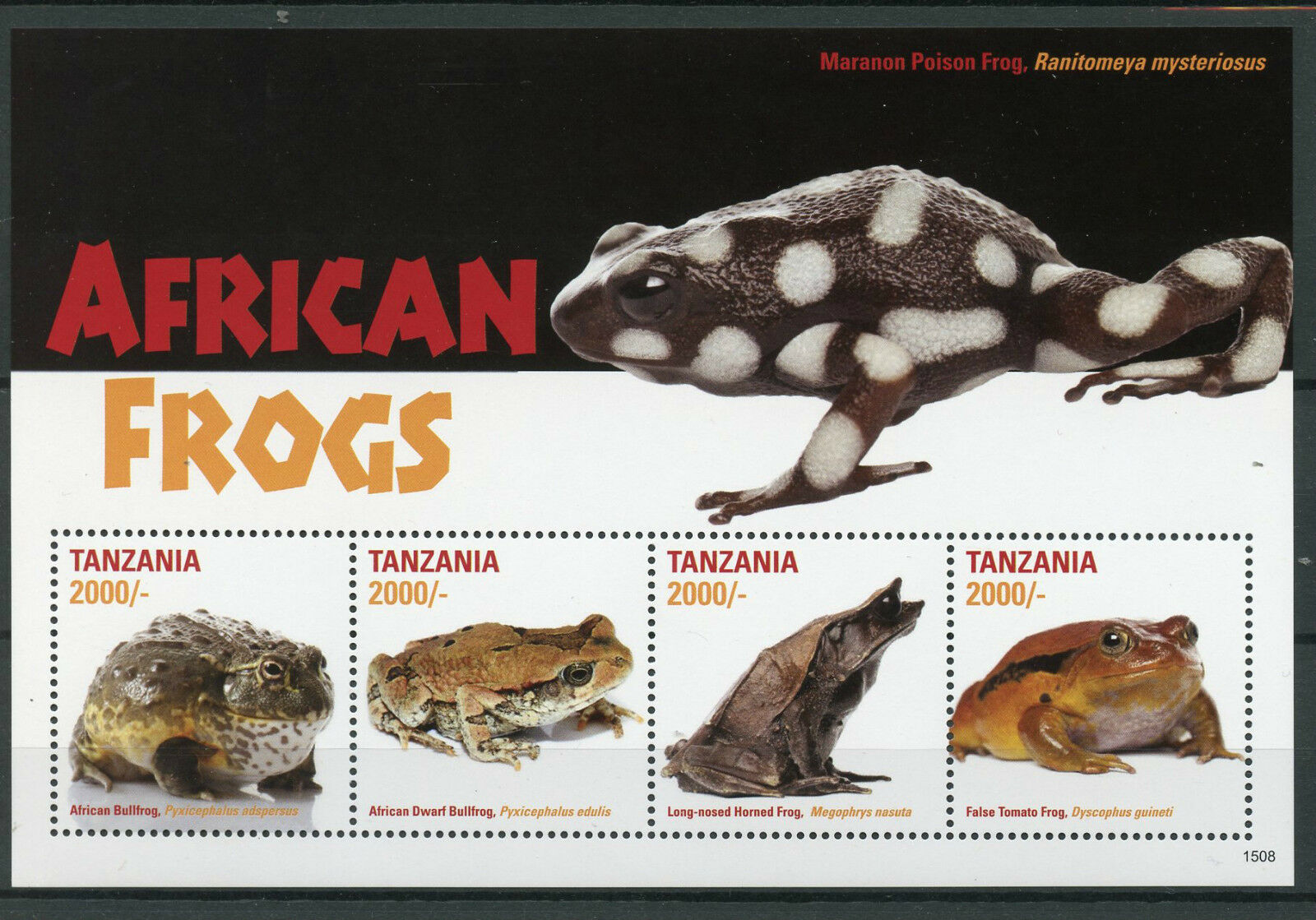 Tanzania 2015 MNH Amphibians Stamps African Frogs Dwarf Bullfrog Horned Frog 4v M/S I