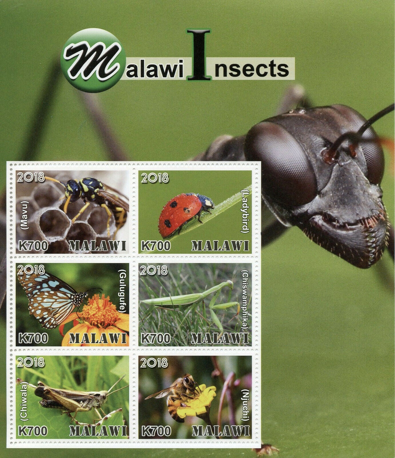 Malawi 2018 MNH Insects Ladybirds Butterflies Bees Beetles 6v M/S Stamps