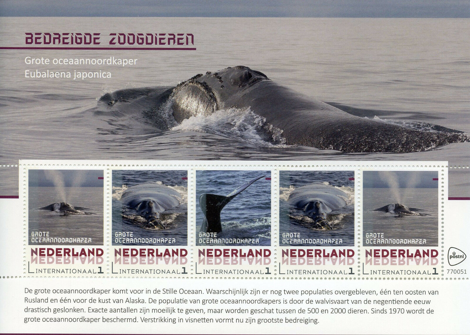 Netherlands 2018 MNH North Pacific Right Whale 5v M/S Whales Animals Stamps