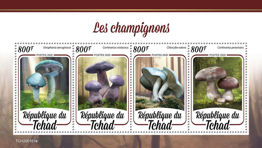 Chad Mushrooms Stamps 2020 MNH Fungi Mushroom Nature 4v M/S