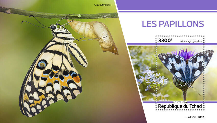 Chad Butterflies 2020 MNH Papilio Lime Butterfly Insects Fauna 1v S/S