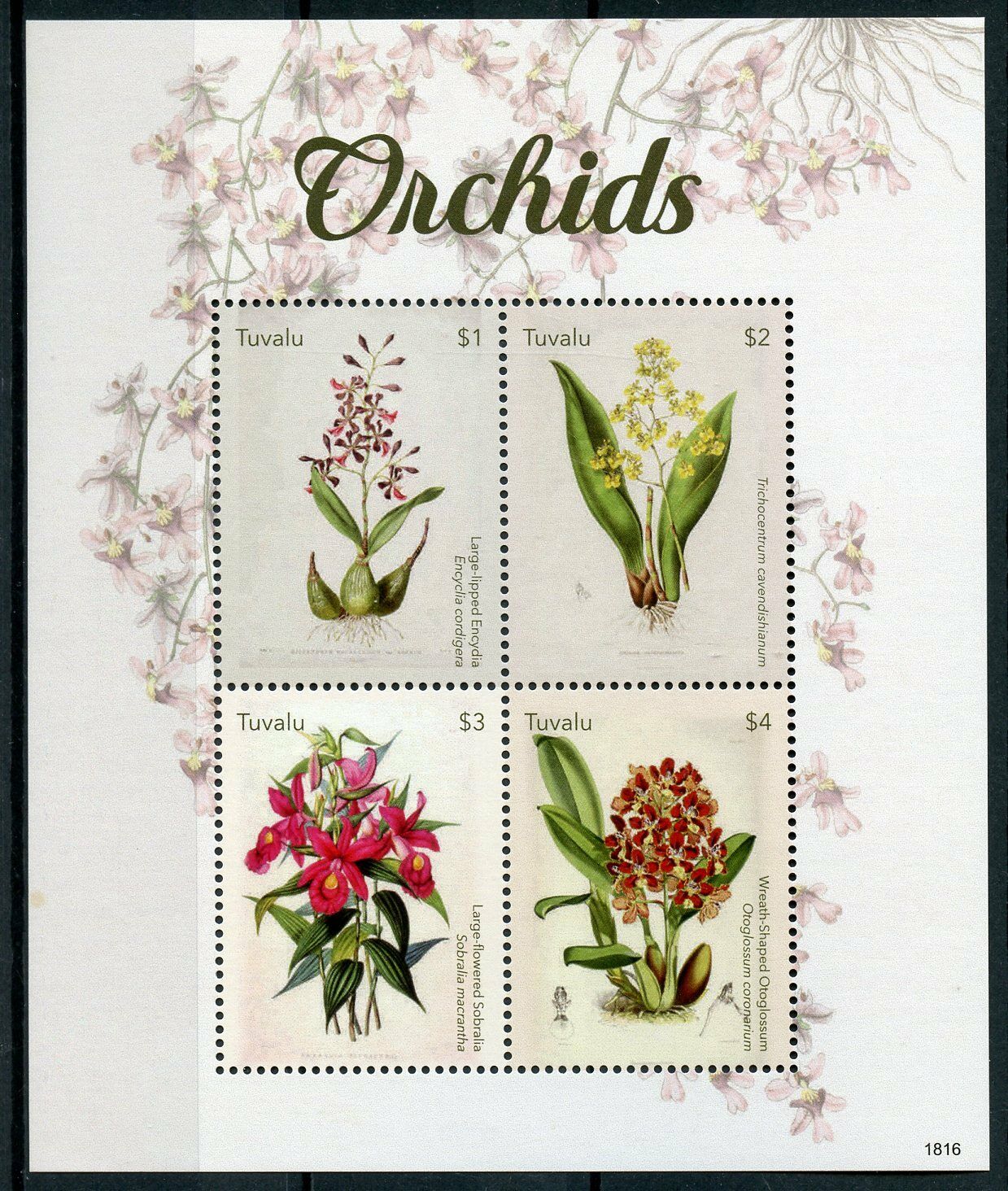 Tuvalu Flowers Stamps 2018 MNH Orchids Encydia Sobralia Orchid Nature 2v S/S