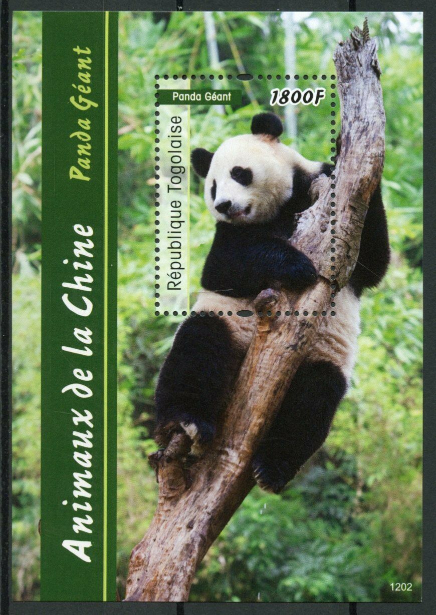 Togo 2012 MNH Wild Animals of China Stamps Giant Panda Pandas 1v S/S