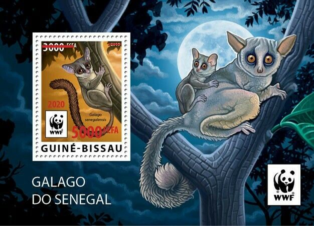Guinea-Bissau 2020 MNH WWF Stamps Senegal Galago Bushbabies Red OVPT 1v S/S