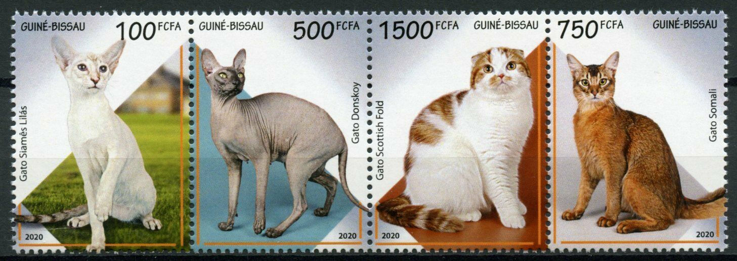 Guinea-Bissau 2020 MNH Cats Stamps Somali Scottish Fold Donskoy Cat 4v Strip