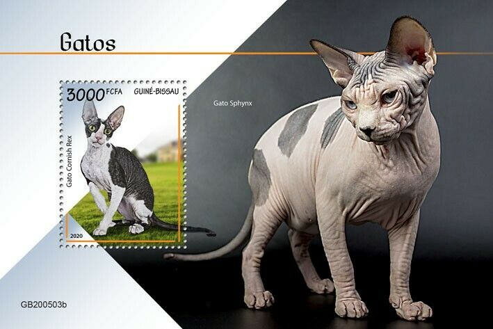 Guinea-Bissau 2020 MNH Cats Stamps Sphynx Cornish Rex Cat Domestic Animals 1v S/S