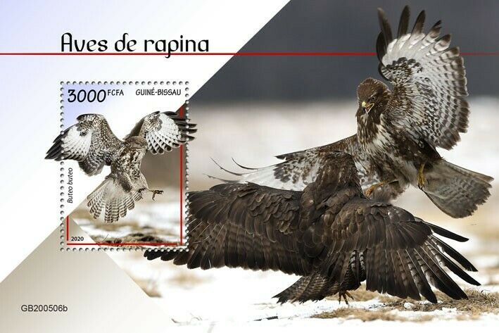 Guinea-Bissau Birds of Prey on Stamps 2020 MNH Buzzards Common Buzzard 1v S/S