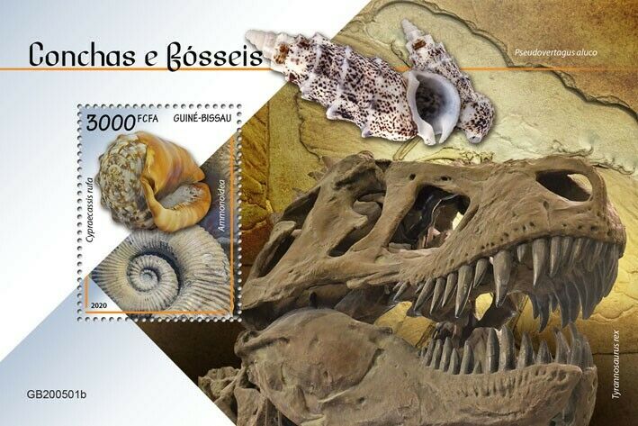 Guinea-Bissau 2020 MNH Seashells & Fossils Stamps Dinosaurs Ammonites 1v S/S
