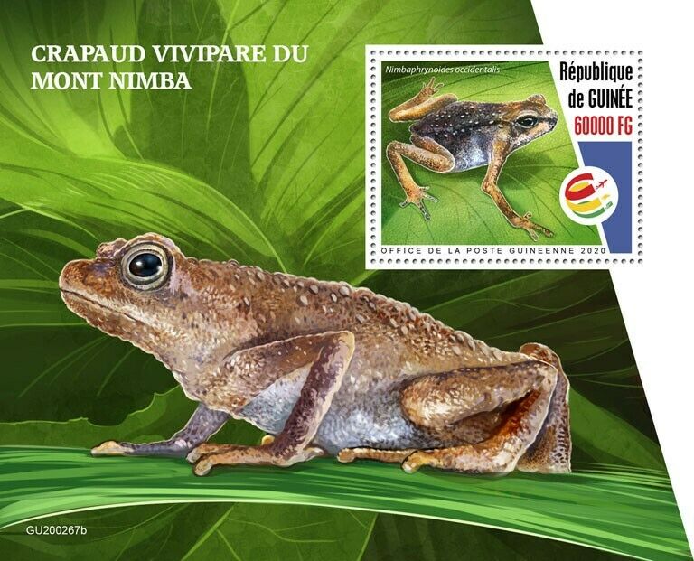 Guinea Amphibians Stamps 2020 MNH Mount Nimba Viviparous Toads Frogs 1v S/S