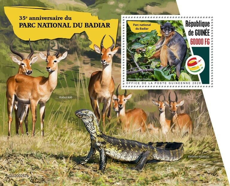 Guinea Wild Animals Stamps 2020 MNH Badiar National Park Colobus Monkeys 1v S/S