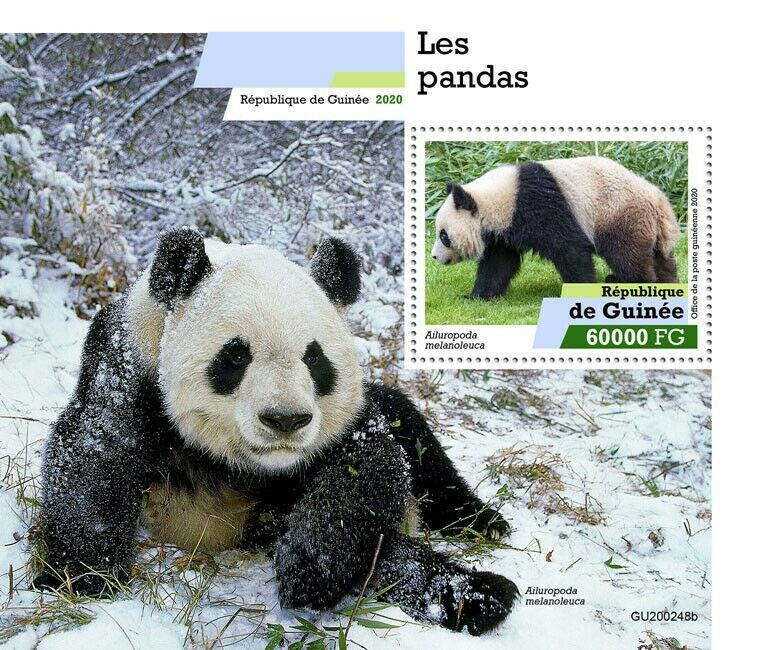 Guinea Wild Animals Stamps 2020 MNH Pandas Giant Panda Bears Fauna 1v S/S