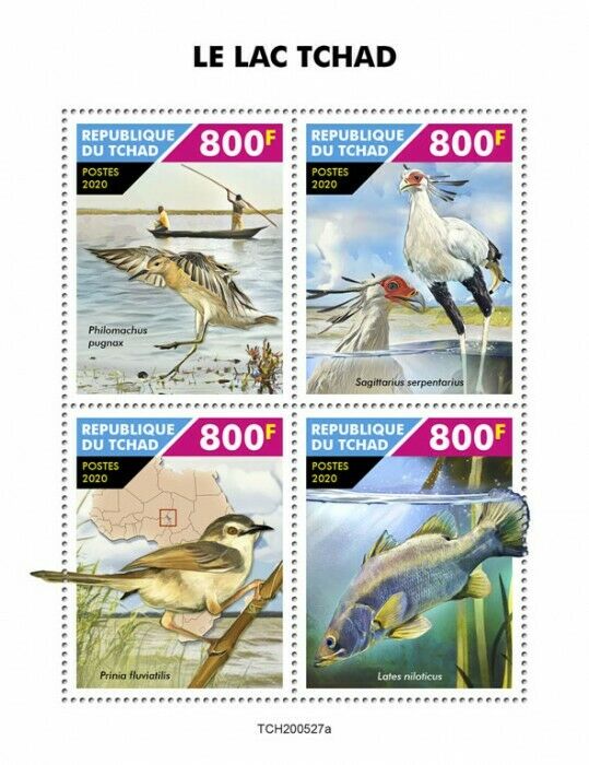 Chad Birds on Stamps 2020 MNH Lake Chad Lakes Fish Ruff Secretarybird 4v M/S