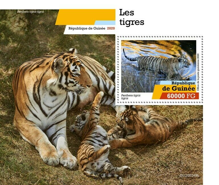 Guinea Wild Animals Stamps 2020 MNH Tigers Big Cats Fauna 1v S/S