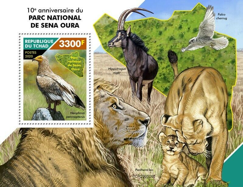 Chad Wild Animals Stamps 2020 MNH Sena Oura National Park Vultures Lions v S/S