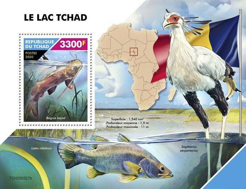 Chad Fish Stamps 2020 MNH Lake Chad Bayad Catfish Secretarybird Birds 1v S/S