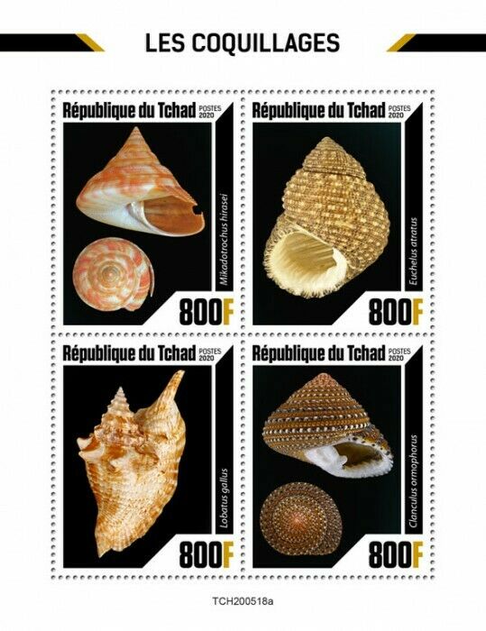 Chad Seashells Stamps 2020 MNH Lobatus Clanculus Shells Marine 4v M/S