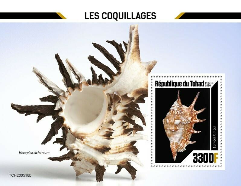 Chad Seashells Stamps 2020 MNH Lambis Hexaplex Shells Marine 1v S/S
