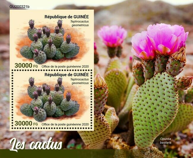Guinea 2020 MNH Plants Stamps Cactus Flowers Nature 2v S/S + IMPF