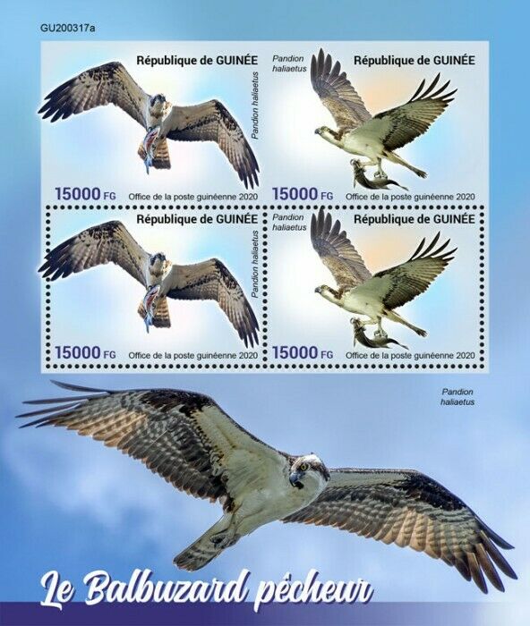 Guinea Birds of Prey on Stamps 2020 MNH Osprey Fish Hawks Raptors 4v M/S + IMPF