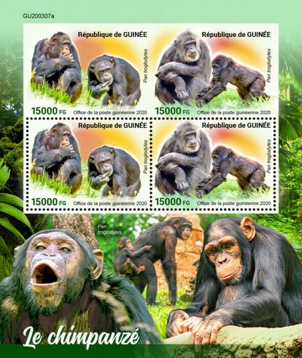 Guinea Wild Animals Stamps 2020 MNH Chimpanzees Primates 4v M/S + IMPF